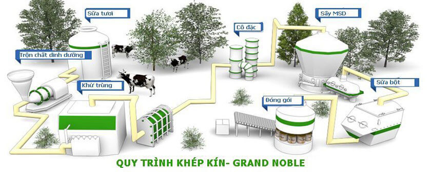 Quy trình sản xuất khép kín của sữa grand noble